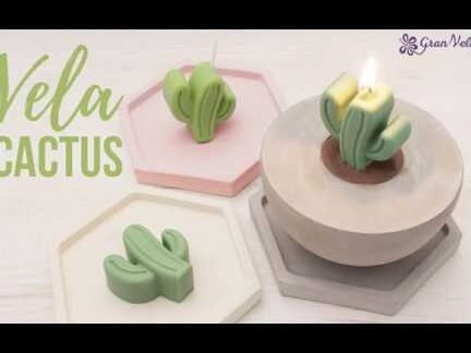 ¡Descubre cómo plantar cactus de velas y llenar tu hogar de luz y belleza!