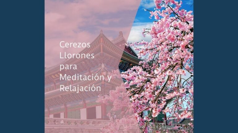 Descubre el secreto para cultivar y cuidar los impresionantes cerezos llorones que todos desearán tener en su jardín