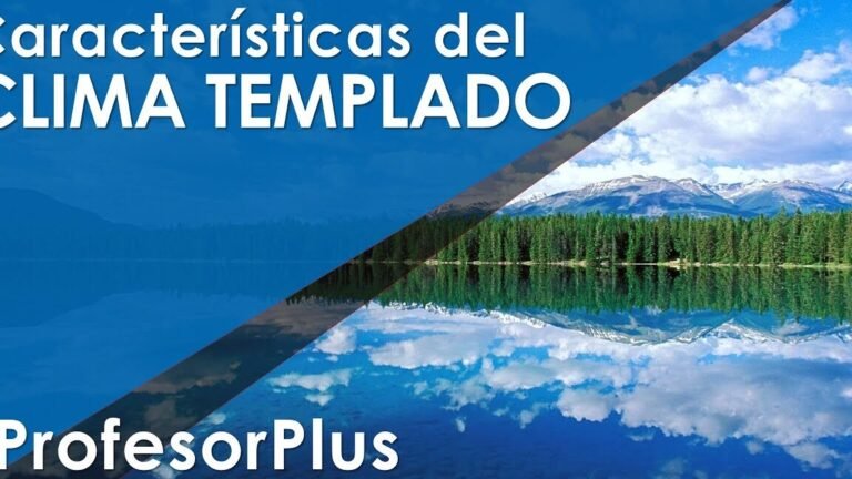 ¡Descubre qué se puede plantar en climas templados para crear un jardín de ensueño!