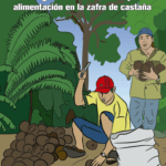 Cómo plantar castañas: guía paso a paso