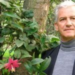 Cómo sembrar semillas en suelos pobres: guía completa para jardineros.