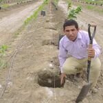 Cómo sembrar semillas en terrenos fértiles: Guía completa para lograr una cosecha exitosa