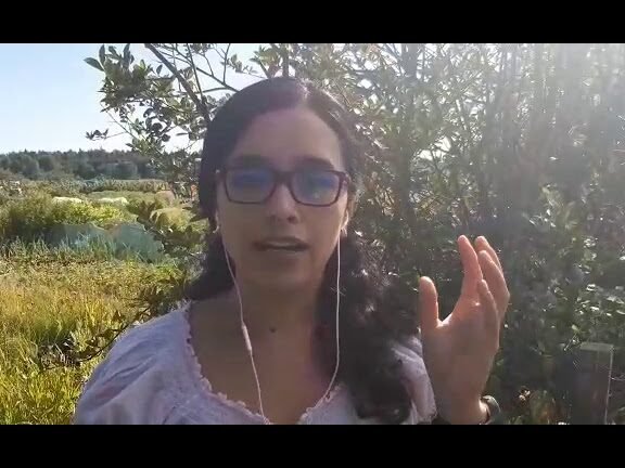 Descubre la sorprendente verdad entre el compost y los fertilizantes que cambiará tu jardín para siempre