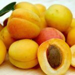 Conoce cómo sembrar albaricoques y disfruta de su dulce sabor