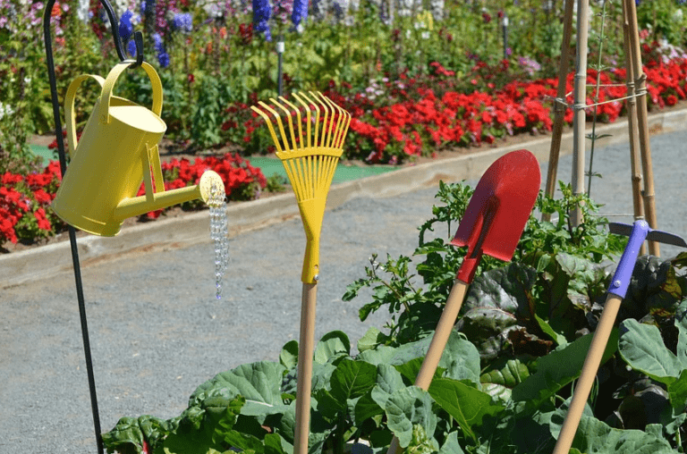 conoce las herramientas de medicion del ph que todo jardinero deberia tener