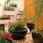 Conoce las mejores herramientas para crear hermosos jardines acuáticos en tu hogar