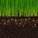 Consejos para elegir la sierra perfecta y realizar una poda efectiva en tus árboles