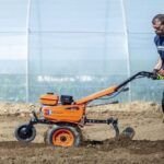 Consejos para sembrar semillas en suelos secos y lograr una cosecha exitosa