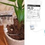 Consejos prácticos: Cómo evitar el exceso de riego en tus plantas