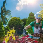 Consejos prácticos para evitar la compactación del suelo en tu jardín