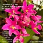 Consejos prácticos para evitar la poda excesiva en tus plantas