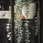 Consejos prácticos para proteger tus plantas del fuerte viento