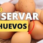 Descubre el secreto para conservar huevos frescos por meses y nunca más desperdiciarás comida