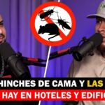 Dos presentadores en un podcast hablan de chinches y ratas junto a un símbolo de prohibición de plagas; Descubre la función vital de las cucarachas en el ecosistema.