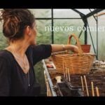 Convierte tu cesta de mimbre en un jardín: Guía para plantar en ella