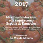 Convierte tu terreno árido en un vergel: qué plantar en secano