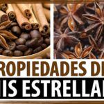 Cosecha tu propio anís estrellado: aprende a sembrar sus semillas
