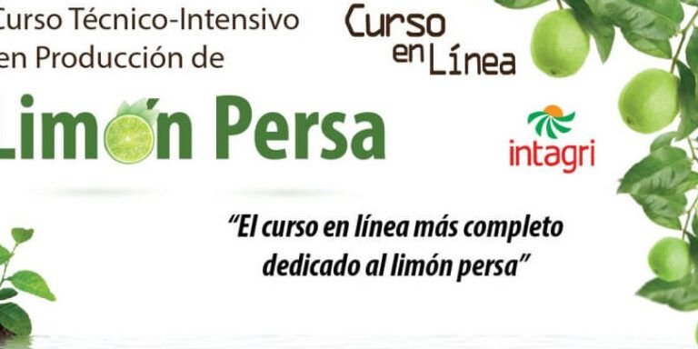 cosecha tus propios limones aprende como sembrar un arbol de limon