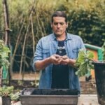 Descubre el secreto para cosechar ruibarbo sin dañar tus plantas y maximiza tu cosecha