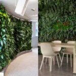 Crea tu propio oasis: Guía completa sobre cómo hacer un jardín vertical de suculentas