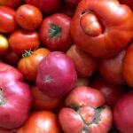 ¡Crea un huerto lleno de sabor con el tomate huevo de toro!