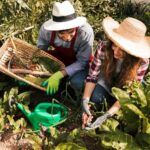 ¡Crea una huerta en casa! Descubre qué plantar en noviembre
