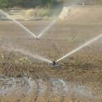 Cuántas veces al día se riega: Guía completa para el riego del césped