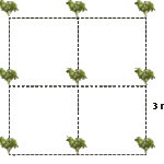 ¿Cuántos eucaliptos por hectárea? Guía para una plantación exitosa