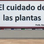 Pizarra educativa con la frase Cuidado de plantas en septiembre: consejos para un otoño saludable, profesora caricatura señalando y macetas decorativas