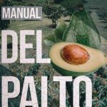 Cultiva aguacate Hass en Colombia: guía práctica y efectiva