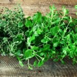 Cultiva ajo fresco en casa: aprende cómo plantar desde un solo diente
