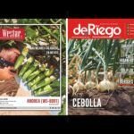 Cultiva albahaca fresca en casa con estas simples técnicas