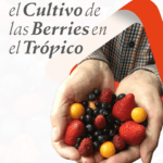 Cultiva arándanos azules en casa: guía práctica