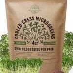 Cultiva berro fresco en casa: guía fácil de cultivo
