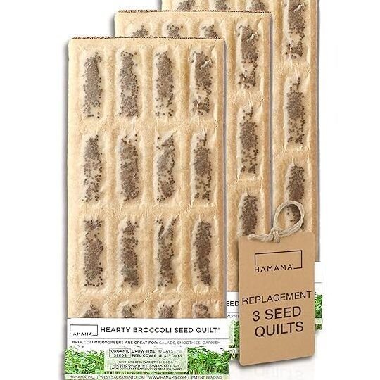 cultiva berros hidroponicos en casa frescura y sabor garantizados