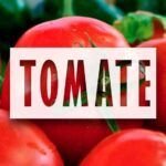 Cultiva cebolla de verdeo en casa: guía práctica para macetas