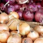 Cultiva cebolla en casa: Guía fácil de plantación en 6 pasos