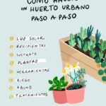 Cultiva cebolla sin semillas en tu hogar: guía paso a paso