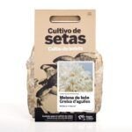 Cultiva champiñones en casa con éxito en Chile: guía práctica