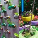 ¡Cultiva el aprendizaje! Las mejores plantas para huertos escolares