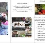 ¡Cultiva en casa! Manual para espacios pequeños