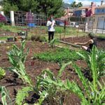 ¡Cultiva en tu huerto urbano en noviembre! Descubre qué plantar
