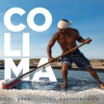 Cultiva epazote sin semilla en casa: guía fácil y práctica