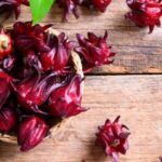 Cultiva flor de jamaica fácilmente en casa: Guía completa