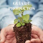 Cultiva flor de loto en casa: Guía práctica y sencilla