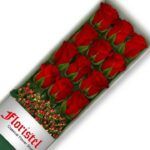 Cultiva hermosas rosas rojas en casa: Guía práctica