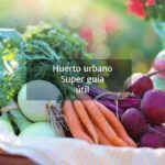 Cultiva melones frescos en casa: aprende cómo plantarlos