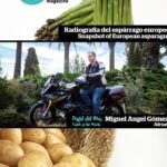 Cultiva melones piel de sapo con éxito: consejos y trucos