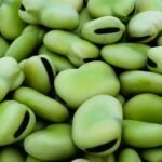Cultiva pimientos rojos en tu hogar: Guía paso a paso