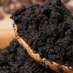 Cultiva setas en casa con posos de café: guía paso a paso